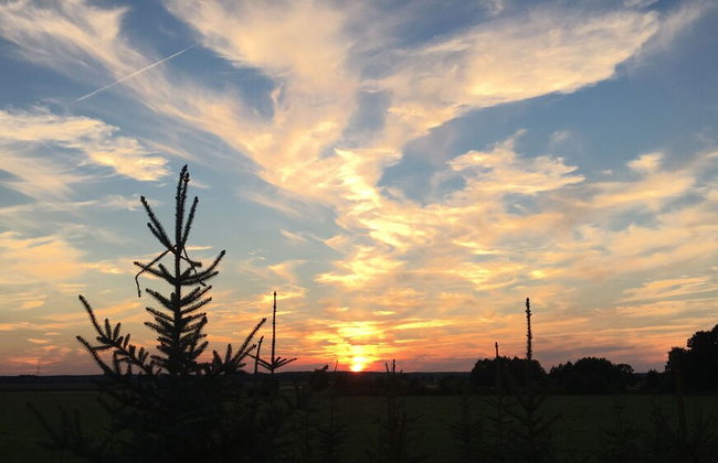Idyllische Ferienwohnung mit Garten - Foto 17