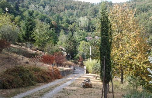 DeiMori LaMassa private villa with pool - Foto 42