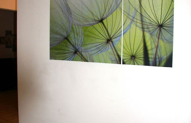 Appartements Fürstalm Alpendorf - Foto 46