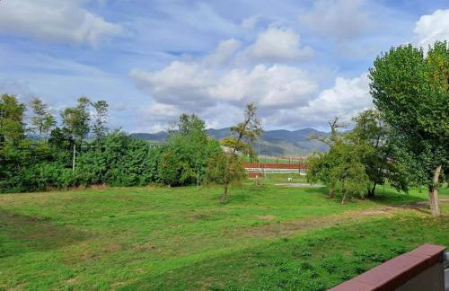 Appartamento Rossana - Luni (SP) - Foto 24