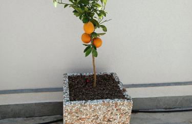 Clio's House - Mondello - Foto 36