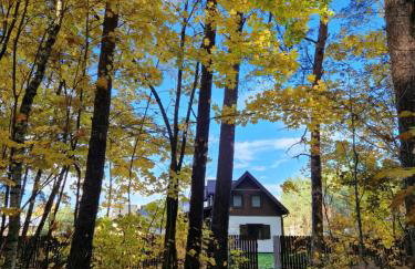 Łap Las Pelnik - Photo 49