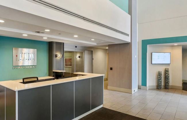 Pentagon City Apt Cozy & Convenient - Foto 3