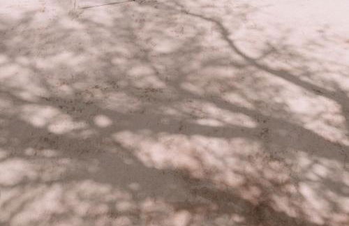 N a k e d S o l - Foto 30