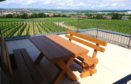 Weinbergshof Rickel - Foto 55