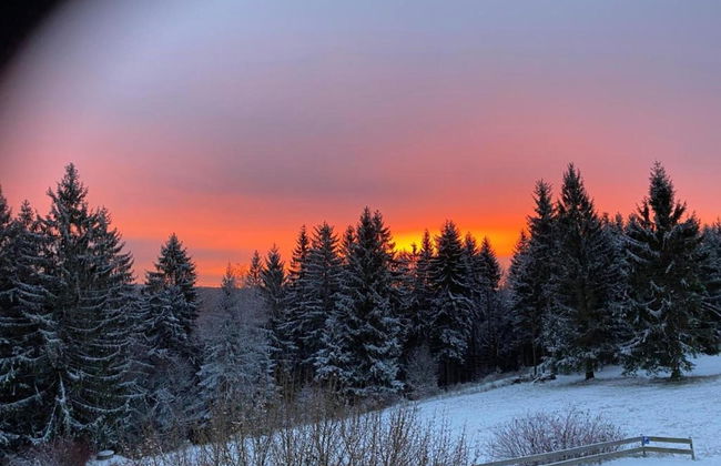 Small and Cozy Apartment in Frauenwald near Forest - Foto 42