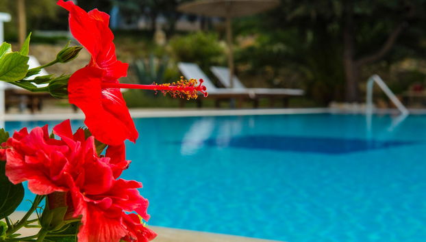 The Small Village - Foto 4