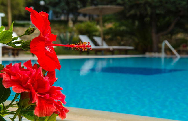 The Small Village - Foto 4