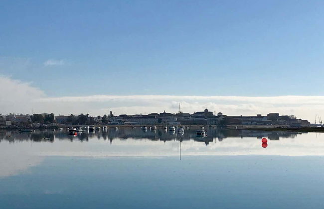 Paseo en lancha rápida a Isla Desierta - Foto 6