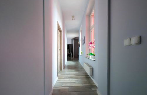 Wrocław Główny Comfort Apartment by BookingHost - Photo 8