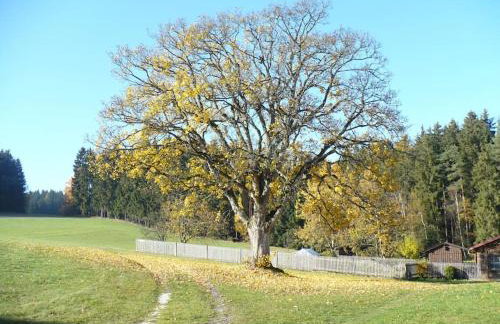 Ferienhof Stöhrmühle - Foto 27