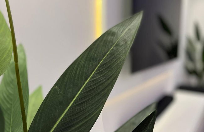 Stunning Luxury Apartment Near Motherwell - Foto 10