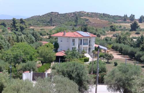 Bright New Garden - Foto 32