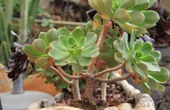 La Casita de Ana - Foto 45