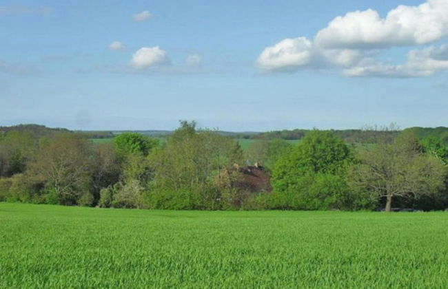 Peaceful Escape in Neu Karin - Photo 28