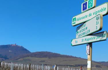 Gîte Le Marronnier, parking et terrasse au calme, entre Colmar-Riquewihr et Obernai, vue sur espaces verts et coteaux d Alsace, route du vin-châteaux - Foto 29