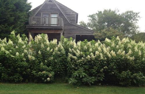 4BR 3BA Hot Tub Media room Weekly rates - Foto 25