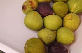 villa,Salentina, vista mare - Foto 34