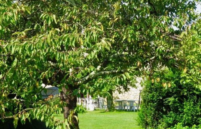 Domaine les Messauts - Gîte Le Cerisier - Foto 9