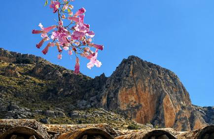 Cortijo el Chorreadero en Parque Natural Sierra de Cazorla - Foto 12