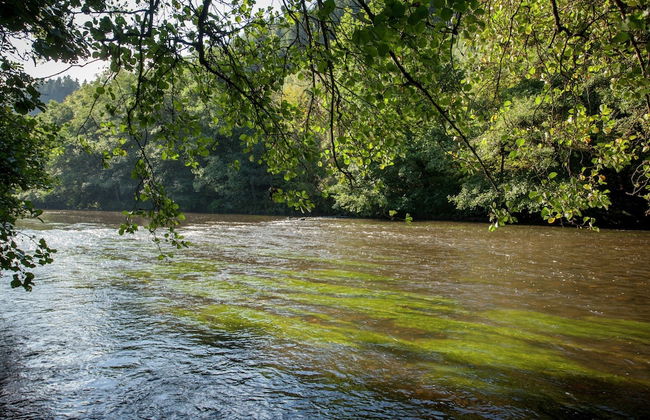 Spacious Holiday Home With Roofed Terrace - Foto 39