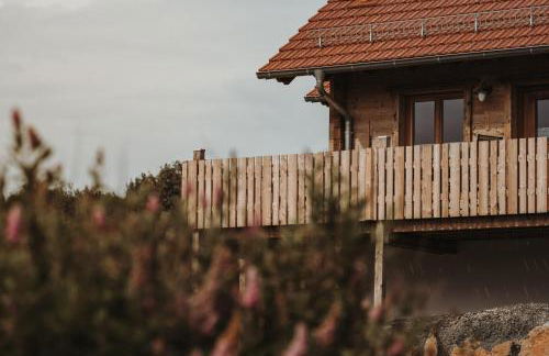 Oberwald Chalets Ferienhaus 2 - Foto 1