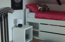 Queen bee's nest - Foto 32