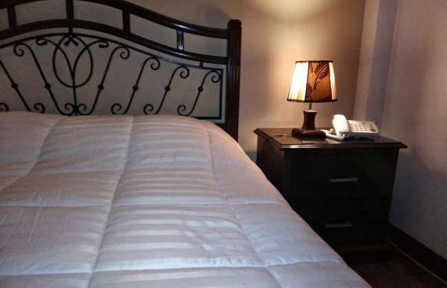 Minimalist Apartment - Photo 6