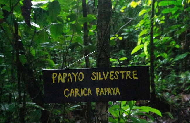 Oski Lodge - Foto 40