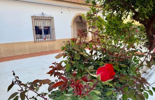 La Casa del Flamenco - Foto 68