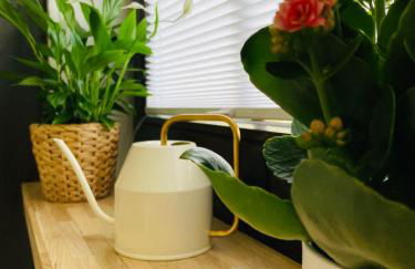 StudioIModernIZentrumIWLANIParkplatzIDisneyPlus - Foto 10