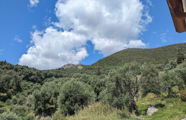 Natura Luxury Suites Parga - Foto 31