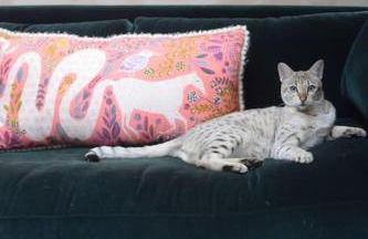 Bohemian Luxury House - Beautiful View - 10min to Bath - Foto 43