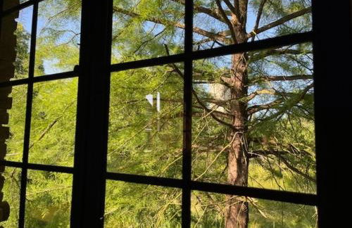 Historisches Baderhaus mit eigenem Saunauhaus - Foto 37