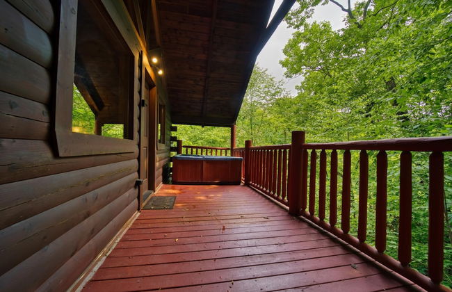 Mountain Laurel - Foto 14