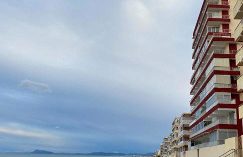 Caballito de Mar - Foto 25