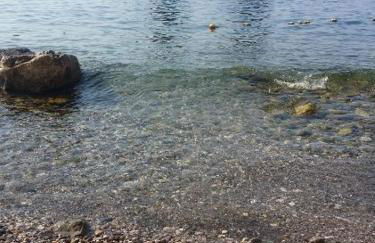 Le Mimose - Photo 63