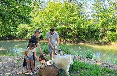 Au Domaine du Prédieu - Foto 25