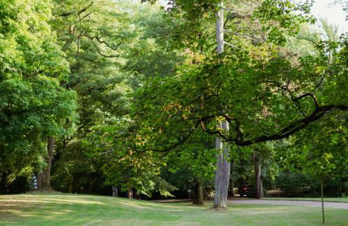 Loft-Apartment - Bestlage am Kurpark mit Terrasse - kostenloses Parken - Küche - Netflix - Waschmaschine - Foto 69