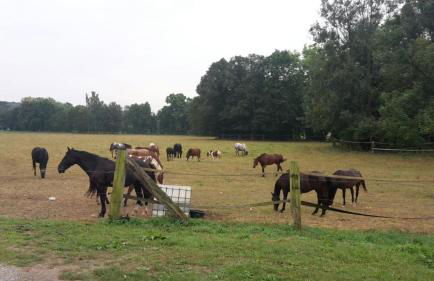 Pension Kroppental - Foto 31