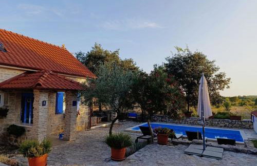 House Toma - Foto 11