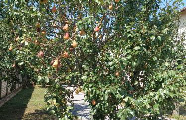 Appartamento in Cascina Cortazza - Foto 32