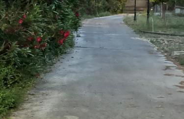 Casa olivar de Riudoms - Foto 29