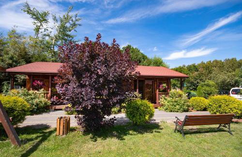 Domki Letniskowe Forest nad morzem - Foto 49