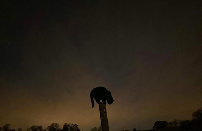 Gratton Grange Farm Holiday Cottage - Foto 39