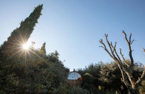 Rouleraventoux, Gîte sportif avec piscine, sauna, salle de sport, jardin - Foto 31