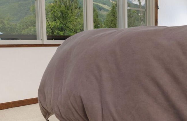 Le Bocage - Hakuba Echoland Chalets - Foto 51