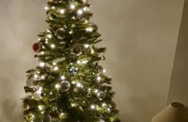 Beach View - A Truly Stunning House Opposite The Sea! Sleeps 10! Families, Friends, Contractors and Pets are all Welcome! - Foto 33