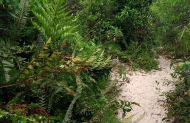 Casa da Marilú Prime - Foto 47