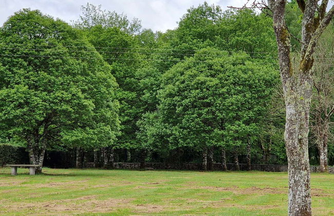 Degustação de vinhos e queijos em Guitiriz - Foto 10
